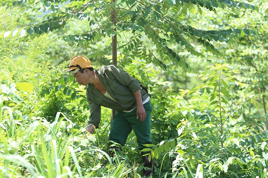 bodecanhkientrang201280x8531-4